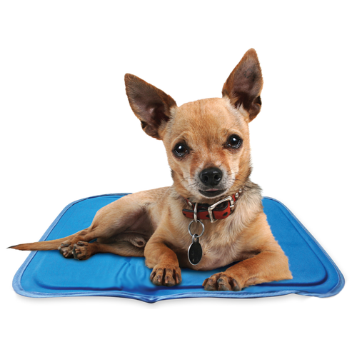 Professional Pet Cooling Mat