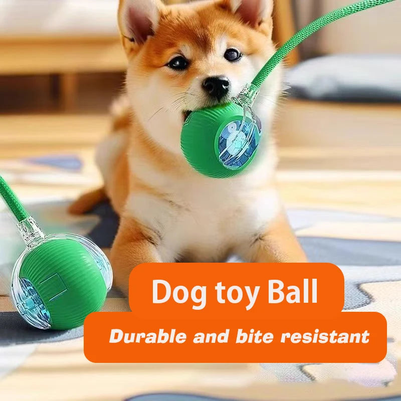 Smart Interactive Rolling Ball for Dogs & Cats