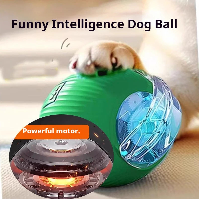 Smart Interactive Rolling Ball for Dogs & Cats