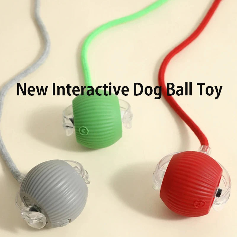 Smart Interactive Rolling Ball for Dogs & Cats